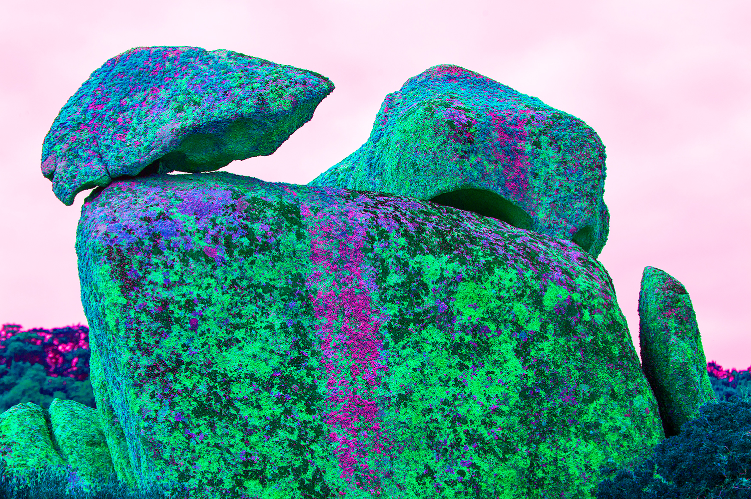 rocce e scogli